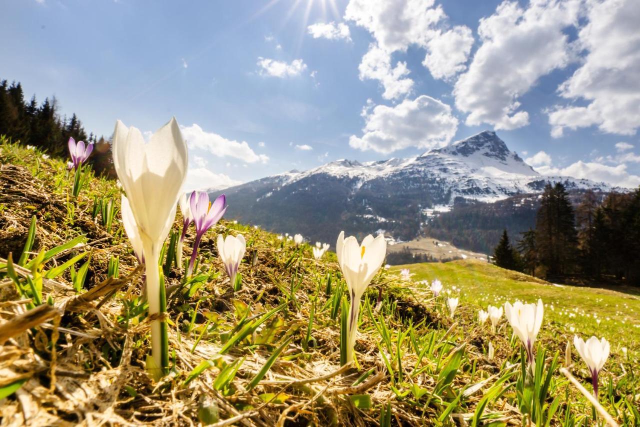 Apart Heimatliebe Nauders Exteriör bild