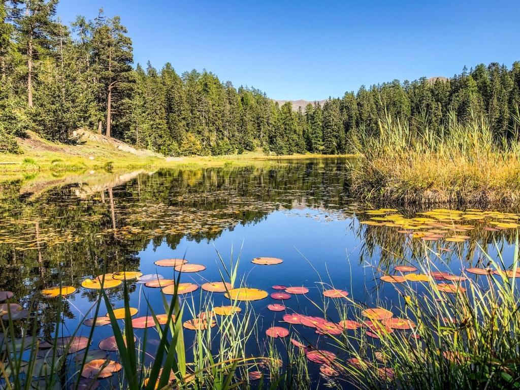 Apart Heimatliebe Nauders Exteriör bild